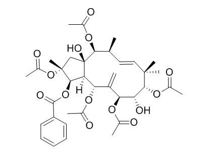Jatrophane 6