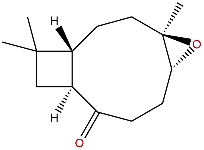 Kobusone