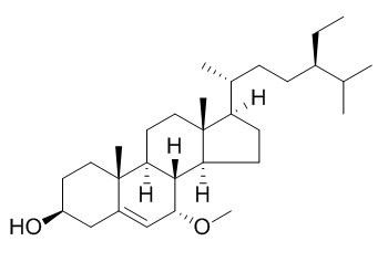 Schleicheol 2