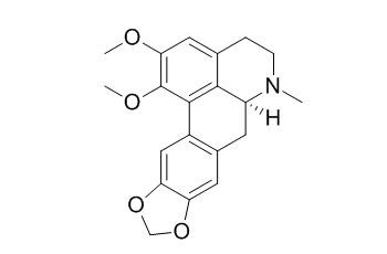 南天竹啡碱