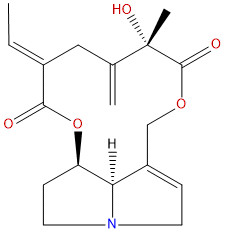Spartioidine