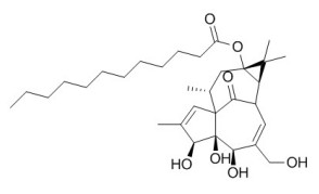 13-O-正十二烷酸巨大戟酯