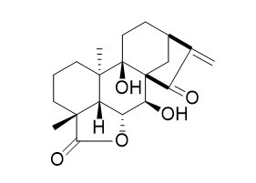 ent-7α,9-Dihydroxy-15-oxokaur-16-en-19,6β-olide