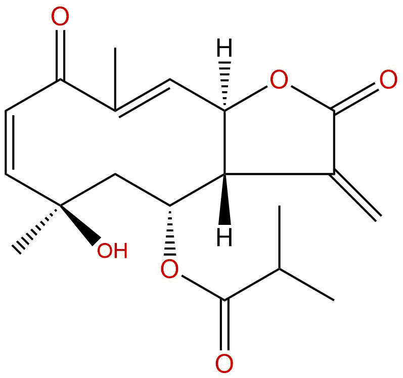 肿柄菊内酯C