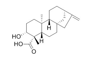 ent-3β-Hydroxykaur-16-en-19-oic acid