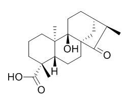 ent-9-Hydroxy-15-oxokauran-19-oic acid