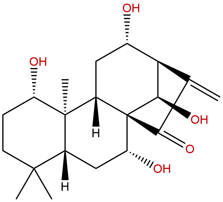 Excisanin A