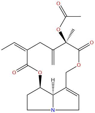 乙酰化千里光菲灵碱