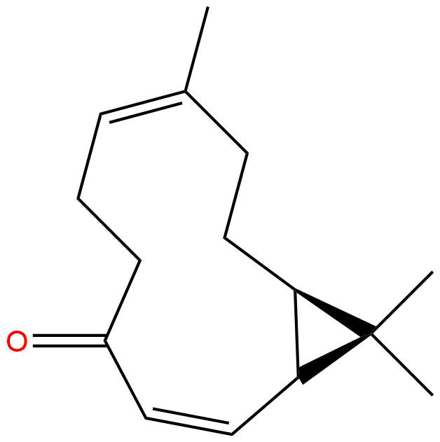 Kissoone A