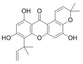 柘树咕吨酮B