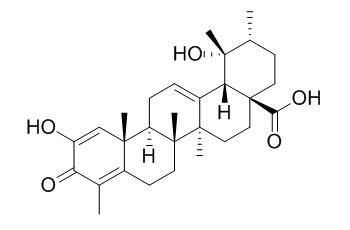 Negundonorin A