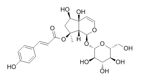 8-O-肉桂酰哈巴苷