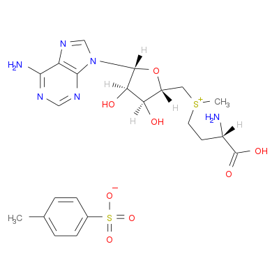 S-腺甘基蛋氨酸