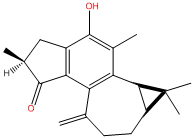 麻枫树酚酮B