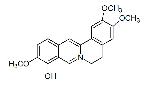 巴马亭红碱
