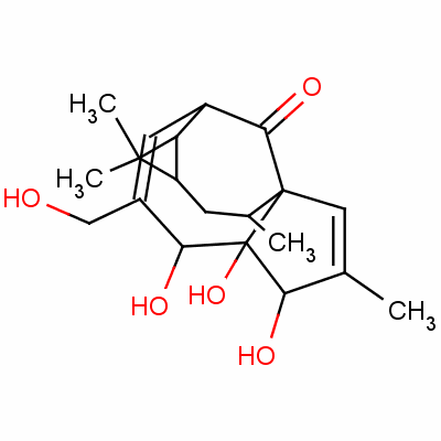 巨大戟醇