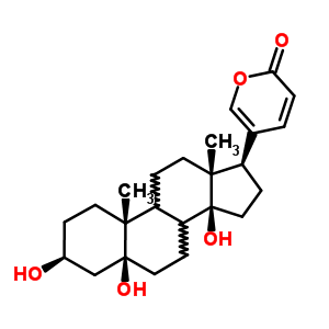 远华蟾蜍精(远华蟾毒精)