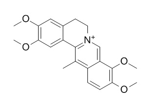 去氢紫堇碱;岩黄连碱